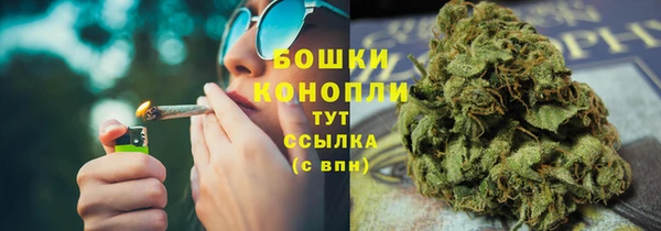 гидра Белоозёрский
