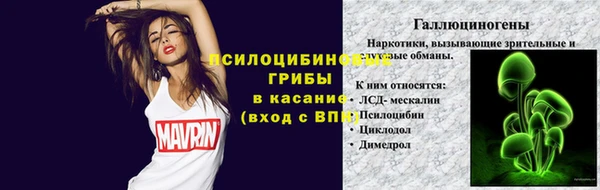 гидра Баксан