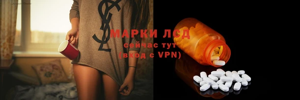 стафф Белокуриха