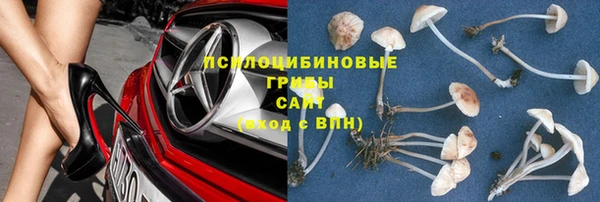стафф Белокуриха