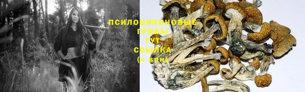 марки nbome Беломорск