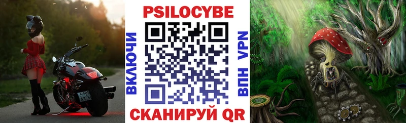 наркота  Великий Устюг  Галлюциногенные грибы Psilocybe 
