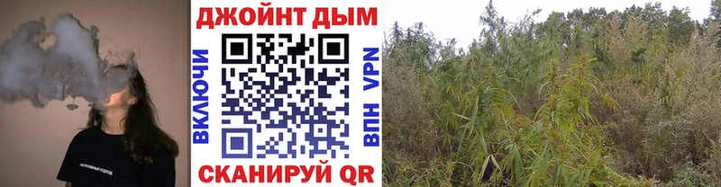 Шишки марихуана сатива  Великий Устюг 